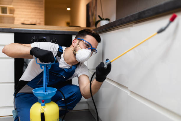 Pest Control Cost in Princeton, TX